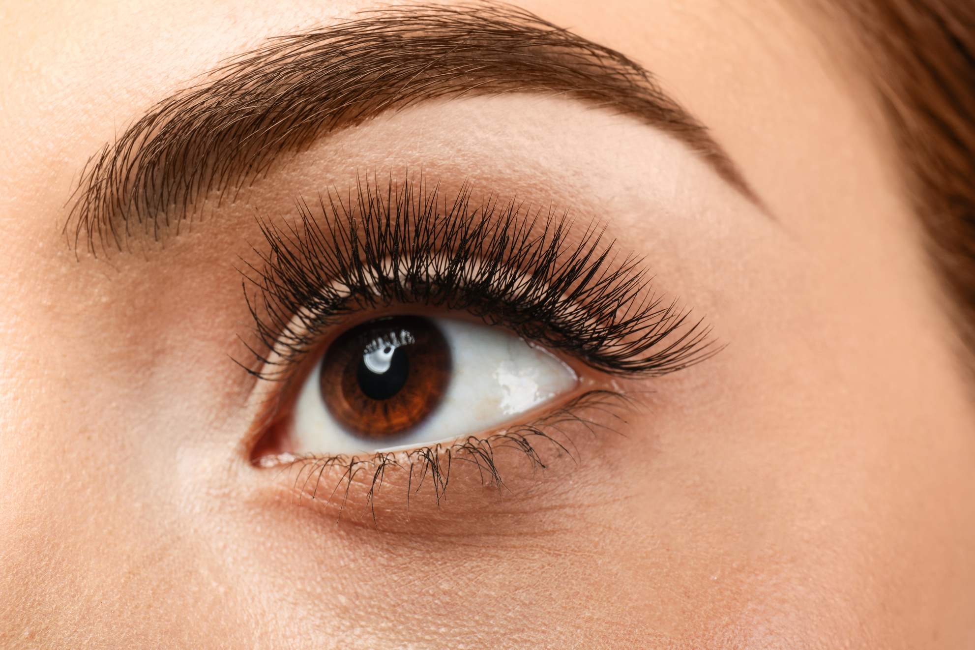 Beautiful Young Woman with Eyelash Extensions